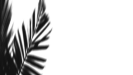 Close-up macro photograph of a water droplet on a leaf capturing reflective light and detail vector