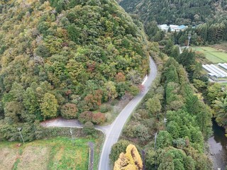 A winding road with trees on both sides. The road is surrounded by a lush green forest. The trees...