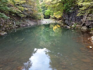 A stream of water is flowing through a forest. The water is clear and calm. The reflection of the...