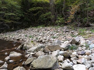 A rocky shoreline with a body of water in the foreground. The rocks are scattered and the water is...