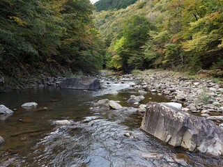 A river with a rocky shoreline and a forest in the background. The water is calm and clear