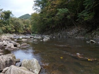 A river with a rocky shoreline and trees in the background. The water is calm and clear