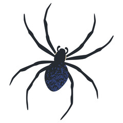 A stylized black spider with a detailed blue abdomen and eight thin legs on a transparent background symbolizing arachnids and creepy crawlies.