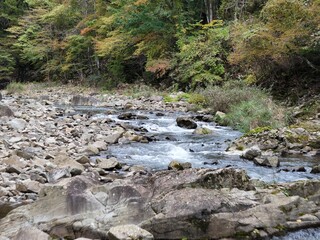 A stream of water flows through a rocky area. The water is clear and the rocks are large. The scene is peaceful and serene