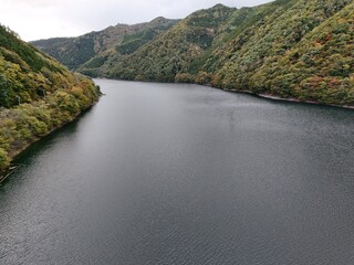 A body of water with trees in the background. The water is calm and clear. The trees are green and leafy