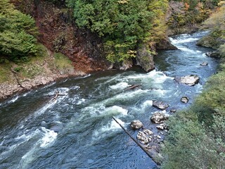 A river with a lot of rocks and trees. The water is moving fast and the rocks are scattered throughout the river