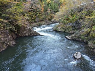 A river with a rock in it. The water is clear and calm. The trees are green and yellow