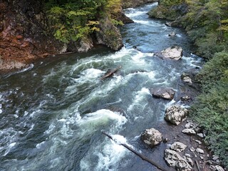 A river with a lot of white water and rocks. The water is moving fast and the rocks are scattered throughout the river