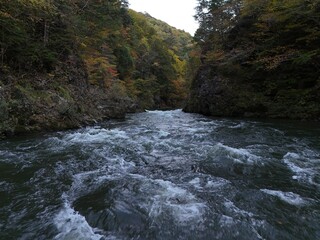 A river with a lot of water and leaves in it. The water is moving fast and the leaves are floating on top