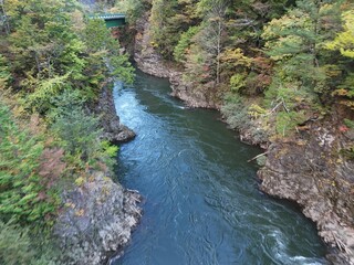 A river with a bridge over it. The water is clear and the trees are green