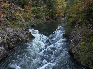 A river with a waterfall and a forest in the background. The water is flowing fast and the trees are green