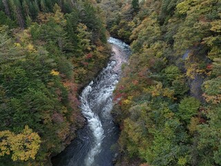 A river with a waterfall and trees in the background. The water is clear and the trees are green
