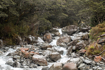 Serene mountain stream flowing through rocky forest landscape