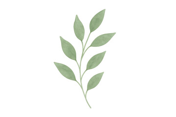 Fototapeta premium Green botanical sprig watercolor illustration. Delicate leaf branch art on transparent background