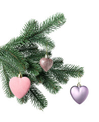 Christmas tree branch with decorative hearts isolated on white
