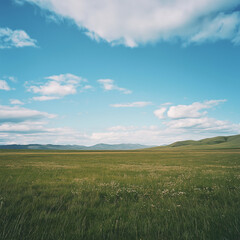 Fototapeta premium green field and blue sky