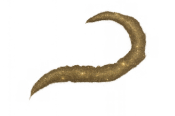 Golden glitter dust swoosh effect spreading sparkly particles, creating a magical abstract stardust trail on transparent background