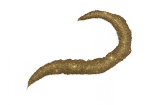 Golden glitter dust swoosh effect spreading sparkly particles, creating a magical abstract stardust trail on transparent background