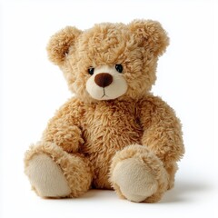 Fototapeta premium Cute Fluffy Brown Teddy Bear