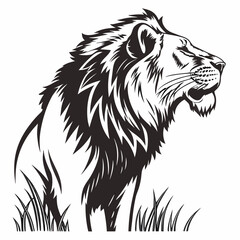 vector illustration of a lion