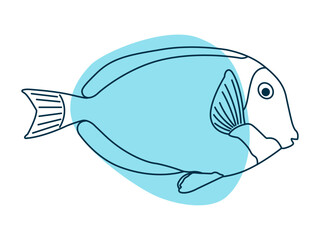 Surgeonfish icon. Deep sea icon. Simple vector in modern thin line style. Vector illustration.