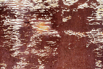 Abstract Texture of Rustic Wood with Peeling Paint Patterns