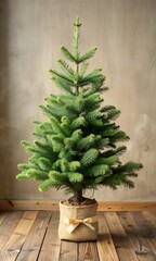 A beautifully shaped fresh green christmas tree standing on a rustic wooden floor with a burlap base and bow against a textured wall