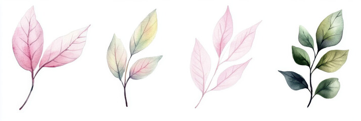 watercolor green leaves elements. Collection botanical vector isolated on white background