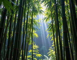 Fototapeta premium Serene bamboo grove bathed in gentle rain, light filtering through lush green stalks, wet, outdoors, drops