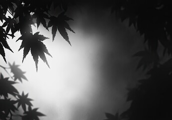 Dark maple leaves frame a hazy, luminous gray background