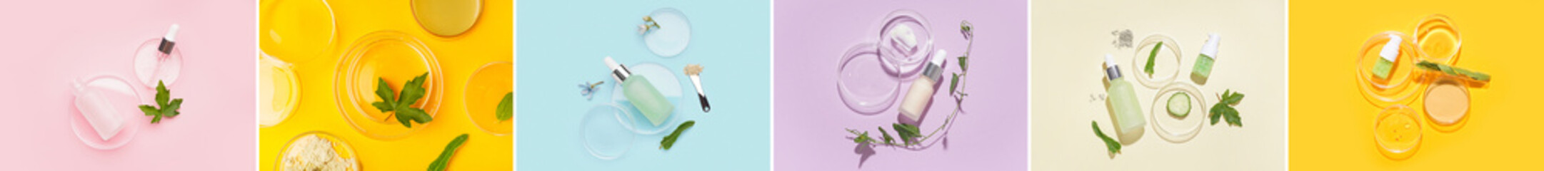 Set of Petri dishes with samples of cosnetic products and natural ingredients on color background, top view
