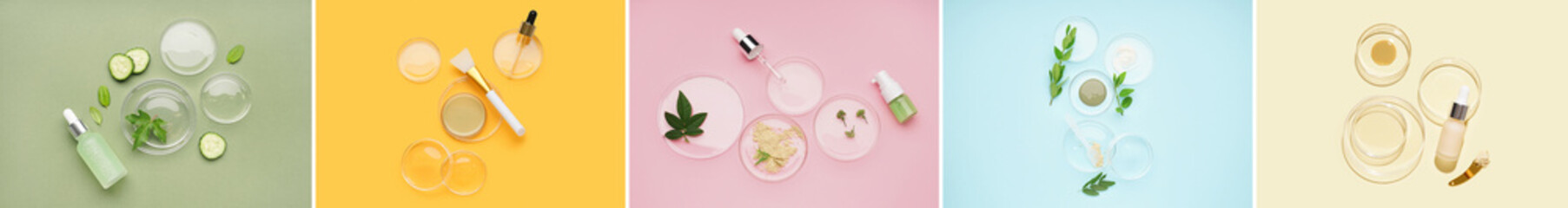 Group of Petri dishes with samples of cosnetic products and natural ingredients on color background, top view