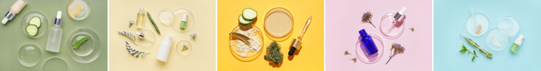 Collage of Petri dishes with samples of cosnetic products and natural ingredients on color background, top view