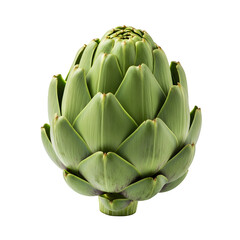 Obraz premium green artichoke edible bud, delicious vegetable, healthy raw food item, studio shot, isolated on white or transparent background. PNG