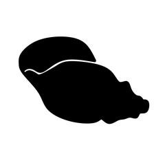 Mollusk 