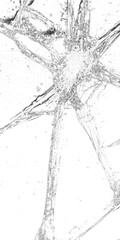 Transparent Cracked Glass Texture, broken window glass, transparent shatter, shatter texture, broken glass on transparent.