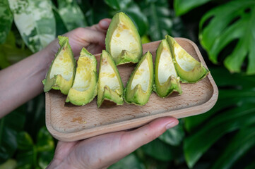 Cropped shot view of someone holding pieces of Avocado fruit. Avocado known for its heart-healthy monounsaturated fats, high fiber content, and rich, buttery texture.