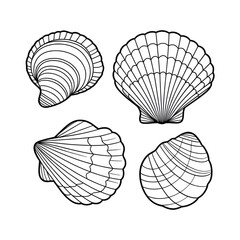 Shell illustration vector style coloring page