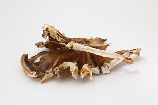 Dried stingray from the Dasyatidae family on white background