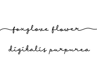 Elegant Handwritten Script of Foxglove Flower and Digitalis Purpurea