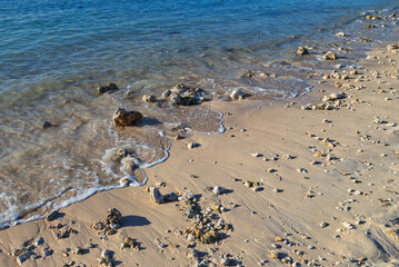 Seascape of Blue Ocean Water on a Sand Beach with Shells and Coral Rocks in Honolulu, Hawaii.