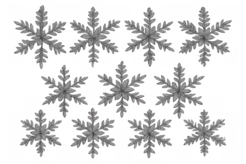 Snowflake pattern creating a decorative winter design, using botanical elements and a monochrome palette, isolated on a transparent background