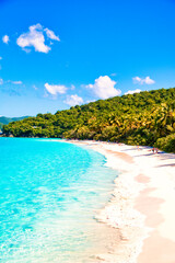 カリブ海の美しい珊瑚礁のビーチ