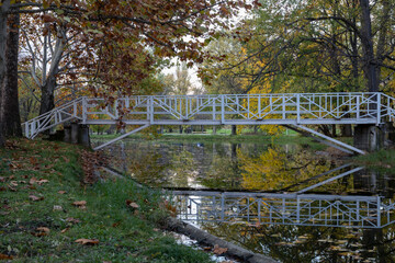 Fototapeta premium autumn scene of white wooden footbridge reflected in still pond water within a park landscape, surrounded by colorful fall foliage and fallen leaves