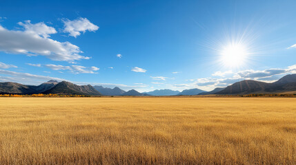 Obraz premium Golden field under bright sun with distant mountains and blue sky creates serene landscape