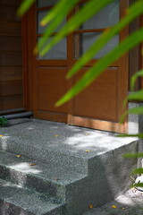Half-open wooden door with glass panel, terrazzo steps with yellow fallen leaves, green foliage framing edges, side lighting creates shadows on stairs, entrance scene, Taiwan.