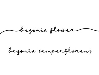 Elegant Handwritten Calligraphy of Begonia Flower Names on White Background