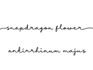 Elegant Handwritten Script of Snapdragon Flower Names in Black Ink