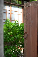 Authentic scene of partially opened brown wooden door with square metal ring handle, dense green shrub filling central space, and multi-pane lattice window with bright backlight in shallow depth.