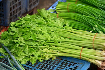 Light green celery with lush leaves and thick stems left in blue mesh basket, dark green garlic chive flowers tied with red rubber bands right in dark container, market produce display, Taiwan.